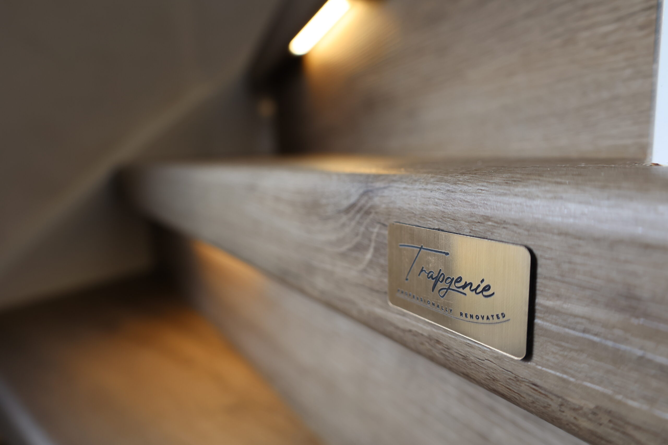 Close-up van gerenoveerde traptrede en bronzen Trapgenie merkplaatje